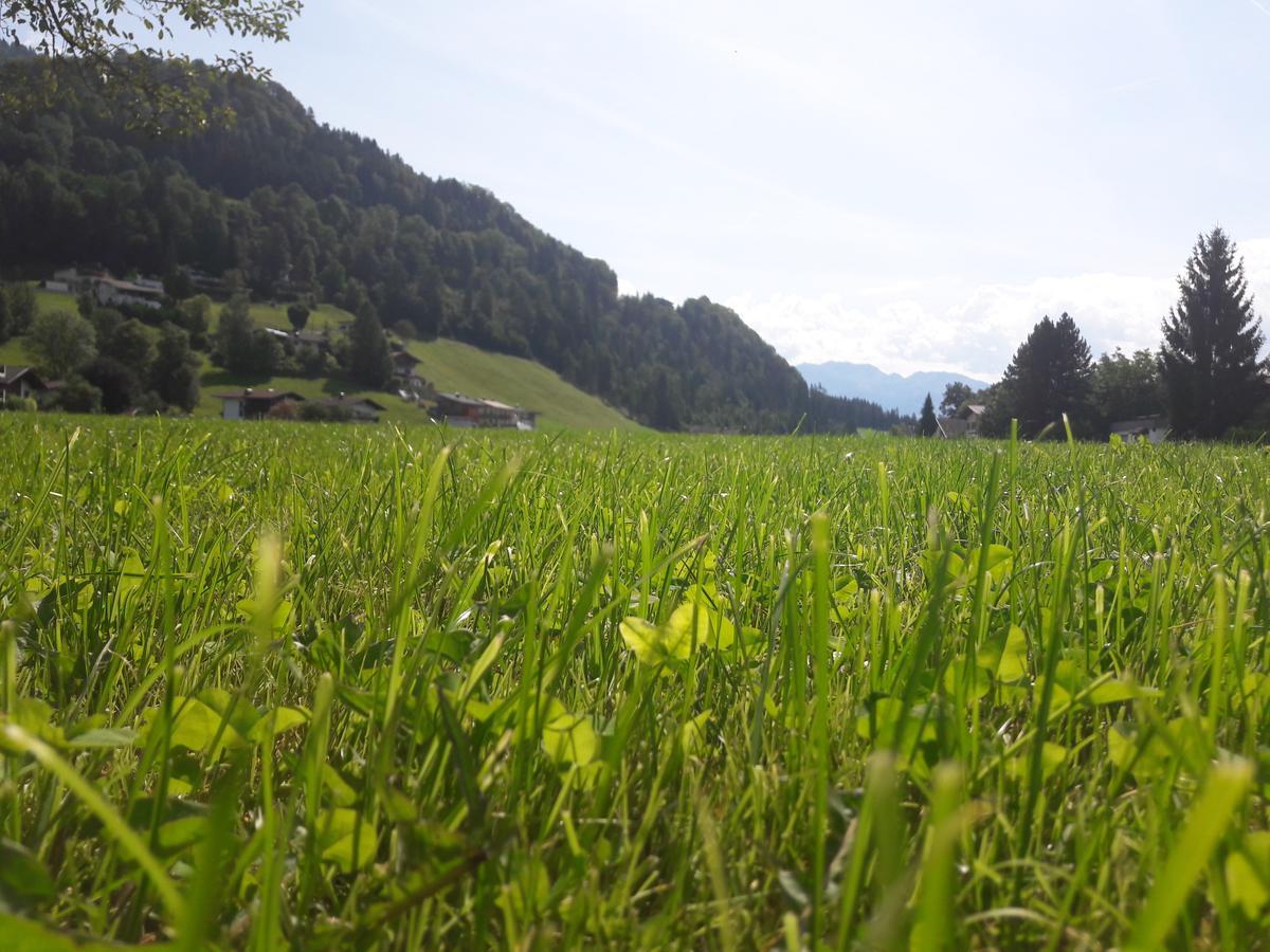 Villa Hofbauer Itter Esterno foto